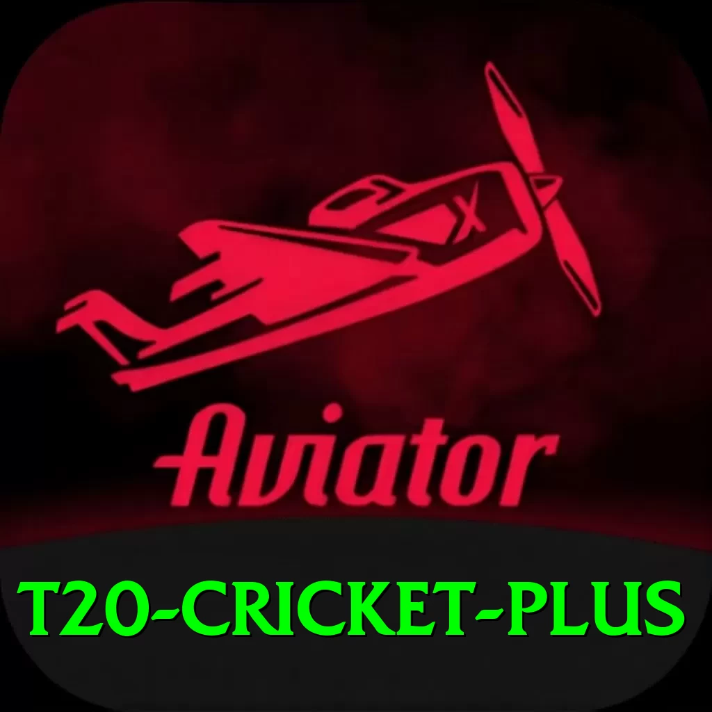 t20 cricket - VIP Super - 2