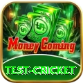 test cricket Premium Plus v2.8.7