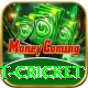 test cricket Premium Plus v2.8.7