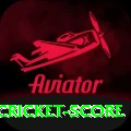 test cricket score Pro v5.0.1