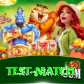 test match Deluxe Edition v4.9.2