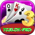 tgslot VIP Pro v5.8.2