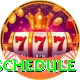 today t20 match schedule VIP Edition v4.0.1