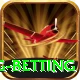 turkey super lig betting Pro v2.4.8