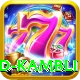 vinod kambli Pro1 v3.4.9