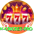 willow cricket Casino Plus v5.5.4